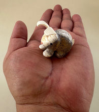 Load image into Gallery viewer, Buttons the Bunny