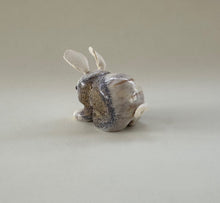 Load image into Gallery viewer, Carrots the Cottontail