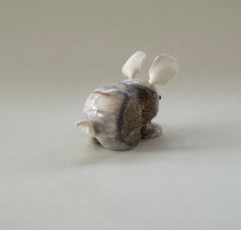 Load image into Gallery viewer, Carrots the Cottontail