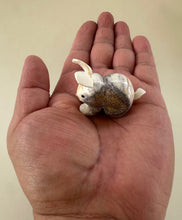 Load image into Gallery viewer, Carrots the Cottontail