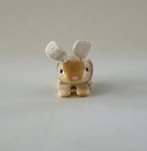 Load image into Gallery viewer, Sunny Bunny