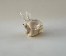 Load image into Gallery viewer, Binky Bunny