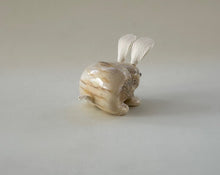 Load image into Gallery viewer, Binky Bunny
