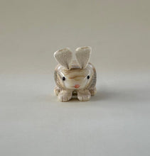 Load image into Gallery viewer, Binky Bunny
