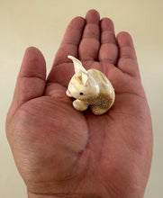 Load image into Gallery viewer, Binky Bunny