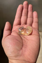 Load image into Gallery viewer, Aurora Mountain Lion