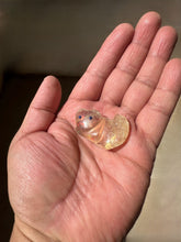 Load image into Gallery viewer, Aurora Mountain Lion