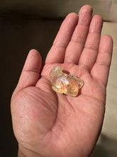 Load image into Gallery viewer, Aurora Mountain Lion