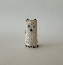 Load image into Gallery viewer, Cat Face Screech Owl
