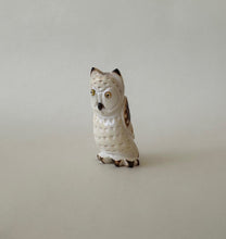 Load image into Gallery viewer, Cat Face Screech Owl
