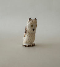 Load image into Gallery viewer, Cat Face Screech Owl