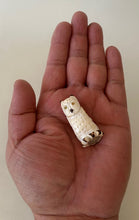 Load image into Gallery viewer, Cat Face Screech Owl