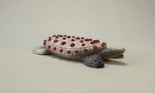 Load image into Gallery viewer, Life is Good-Sea Turtle