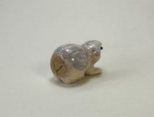 Load image into Gallery viewer, Grub!