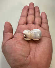 Load image into Gallery viewer, Grub!