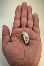 Load image into Gallery viewer, Burrowing Owl