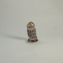 Load image into Gallery viewer, Northern Pygmy Owl #1