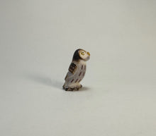 Load image into Gallery viewer, Northern Pygmy Owl #1