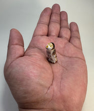 Load image into Gallery viewer, Northern Pygmy Owl #1