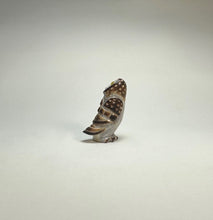Load image into Gallery viewer, Elf Owl