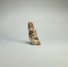 Load image into Gallery viewer, Surprised Short Eared Owl