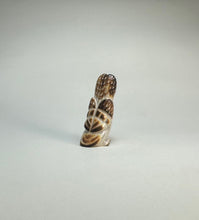 Load image into Gallery viewer, Surprised Short Eared Owl