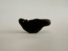 Load image into Gallery viewer, Bushy Tail