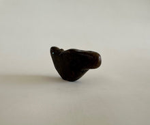 Load image into Gallery viewer, Bushy Tail