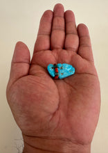 Load image into Gallery viewer, Bird of Prey