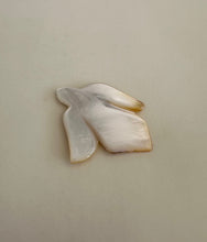 Load image into Gallery viewer, Golden Dove