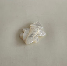 Load image into Gallery viewer, White Medicine Badger