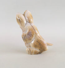 Load image into Gallery viewer, Blue Eyed Leveret