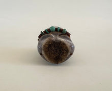 Load image into Gallery viewer, Cunning Coyote