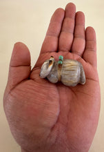 Load image into Gallery viewer, Cunning Coyote