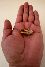 Load image into Gallery viewer, Chase The Mountain Lion