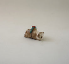 Load image into Gallery viewer, Coyote Moon