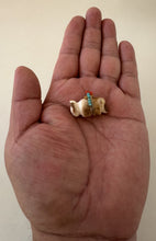 Load image into Gallery viewer, Coyote Moon