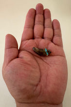 Load image into Gallery viewer, Ari