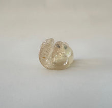 Load image into Gallery viewer, Aurora Mountain Lion