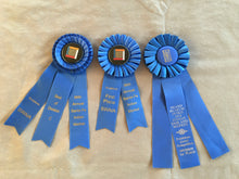 Load image into Gallery viewer, El Nino