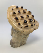 Load image into Gallery viewer, Ally Gator The Snapping Turtle