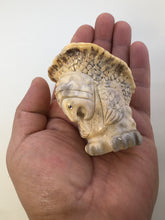 Load image into Gallery viewer, Ally Gator The Snapping Turtle