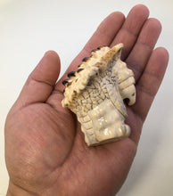 Load image into Gallery viewer, Ally Gator The Snapping Turtle