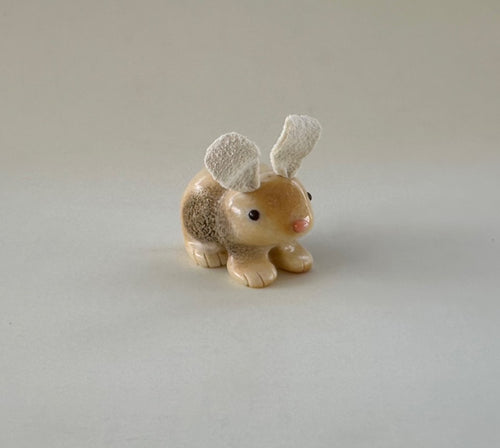 Sunny Bunny