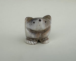 Jefferson The Badger Cub