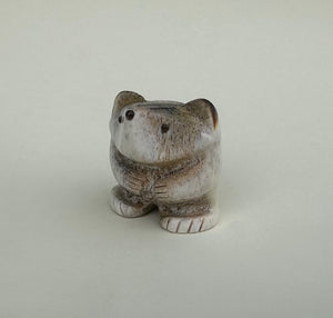 Jefferson The Badger Cub