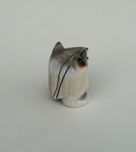 Jefferson The Badger Cub