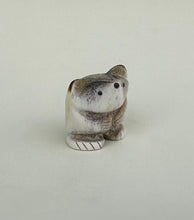 Load image into Gallery viewer, Jefferson The Badger Cub
