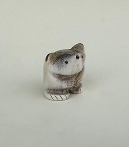 Jefferson The Badger Cub