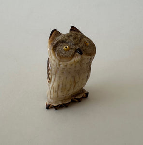Sit & Wait Screech Owl